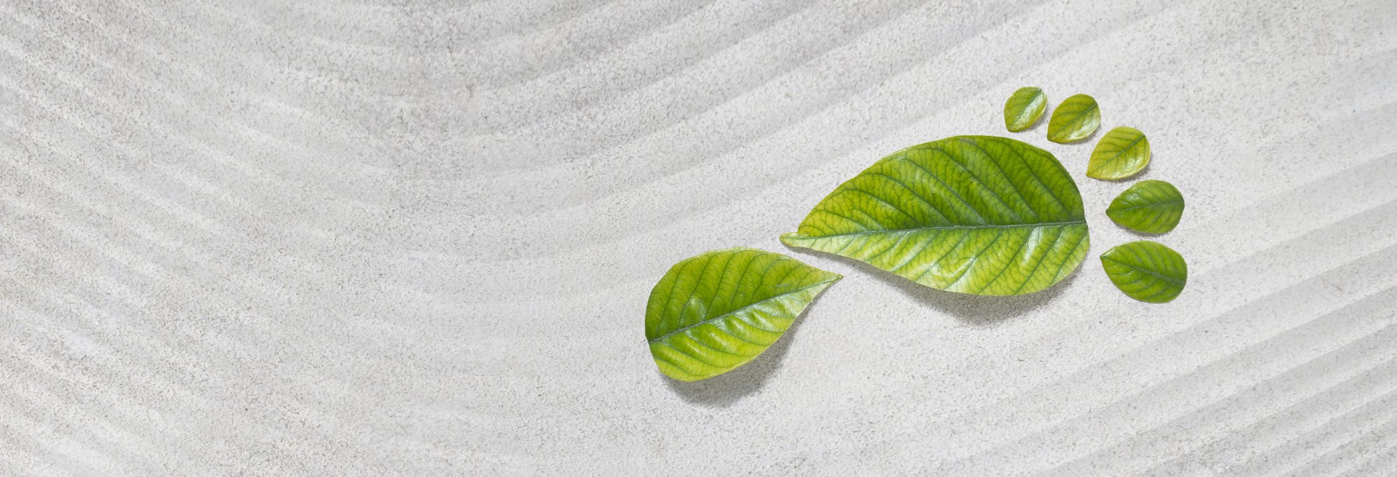 HA_WEB_HERO_3000x1025_NACHALTIG_LAY01_SUSTAINABILITY_9